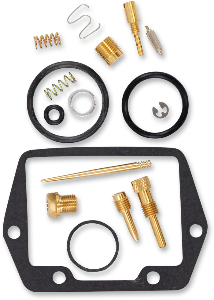 Carburetor Repair Kit