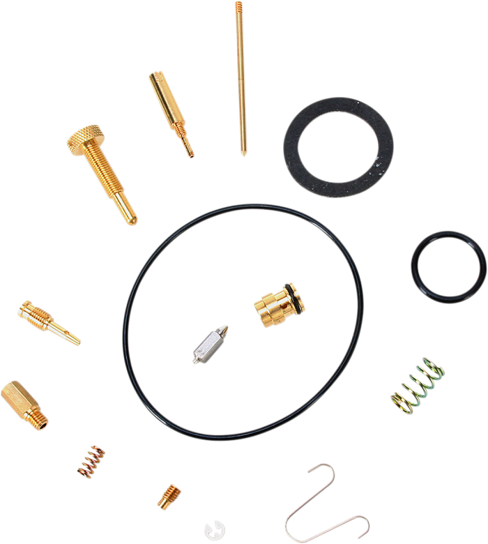 Carburetor Repair Kit